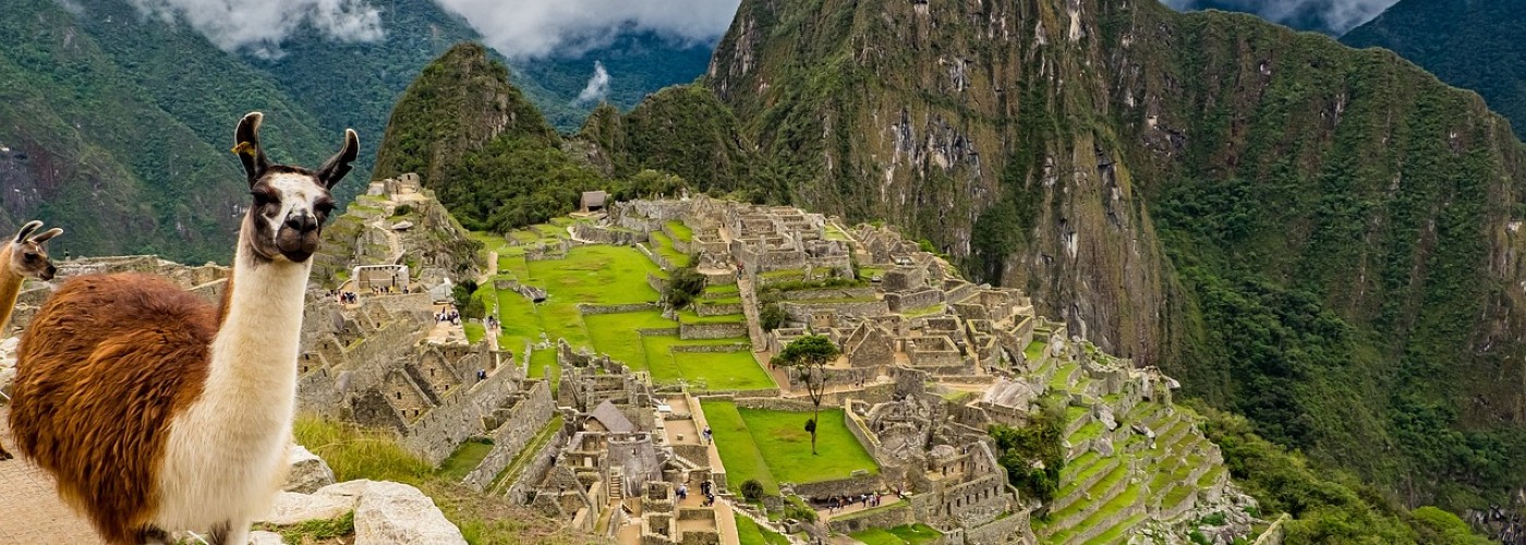 Lama op Machupicchu 