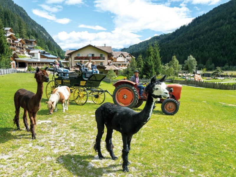 Bij dit familotel hebben ze ook pony's