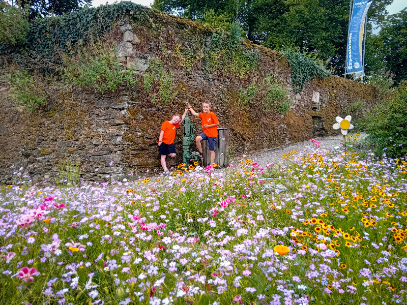 Vrolijke bloemenpracht in het dorp