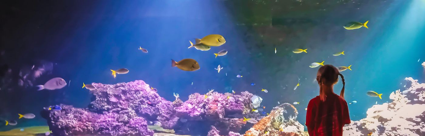 Aquarium de Vendée