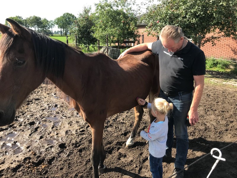 Kinderen mogen paarden vertroetelen bij 't Manegepeerd