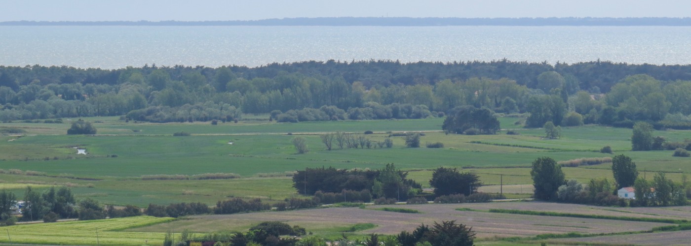 Uitzicht over de Vendée, Marais Breton