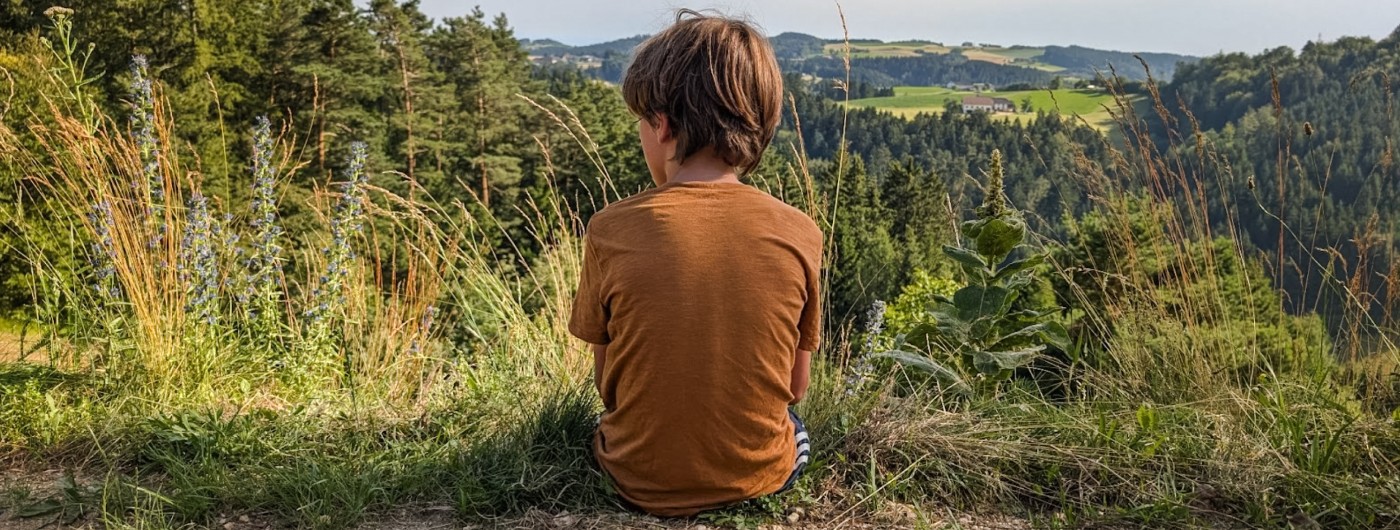 De zoon van Kim kijkt uit over het landschap van Opper-Oostenrijk