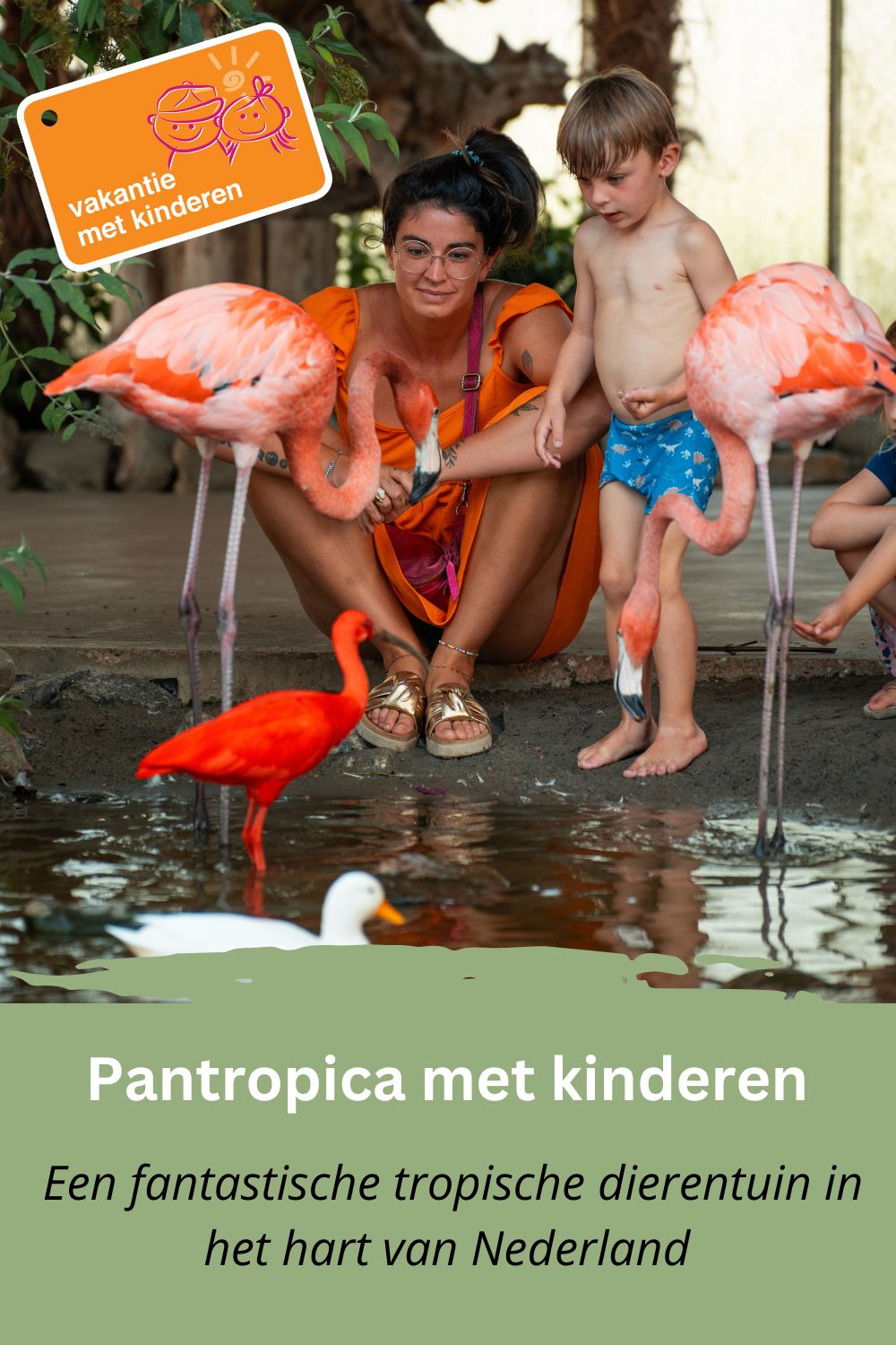 Om te bewaren op Pinterest