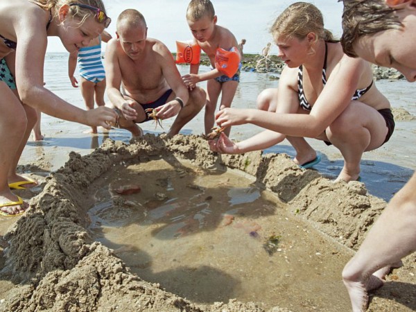 zeedieren vangen en bekijken op het strand