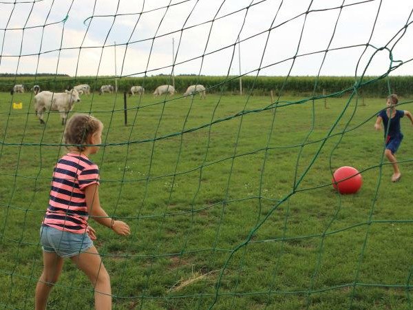 voetballen op de boerderij