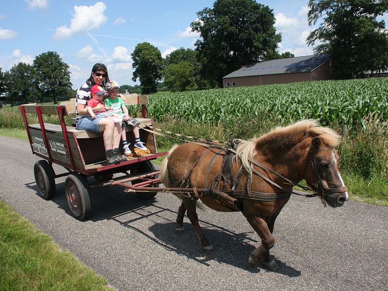 De gezinshuifkar van Manege Nijhuis