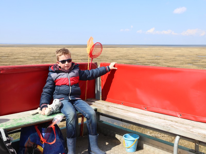 We zitten achterin de Tractorbus