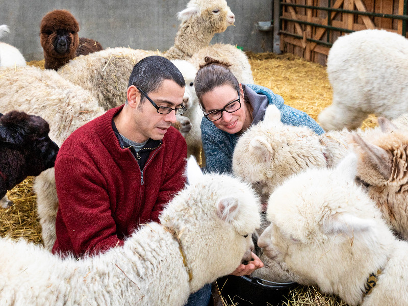 De eigenaars John en Hanneke tussen de Alpaca's