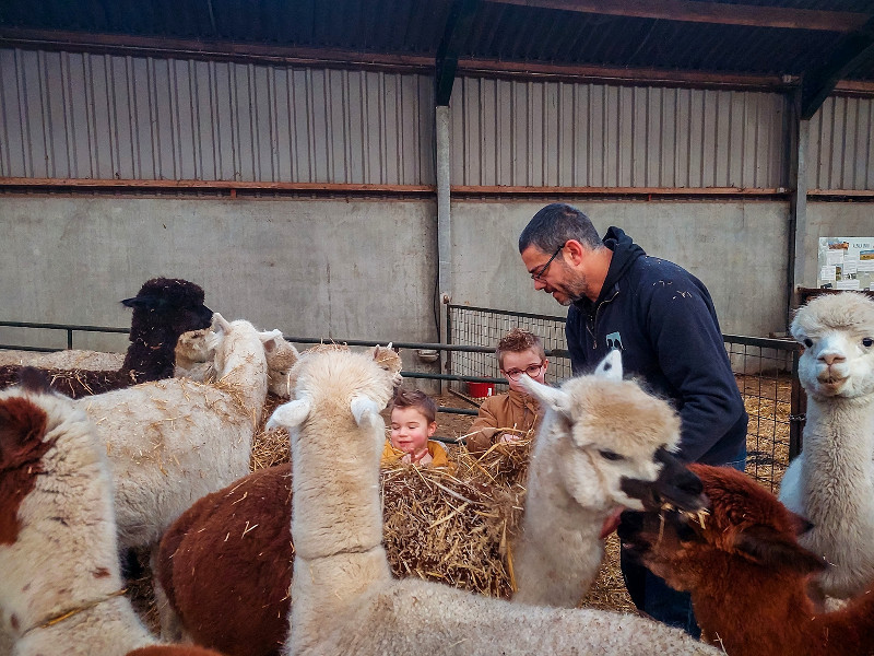 Boer John stelt de kinderen voor aan de alpaca's