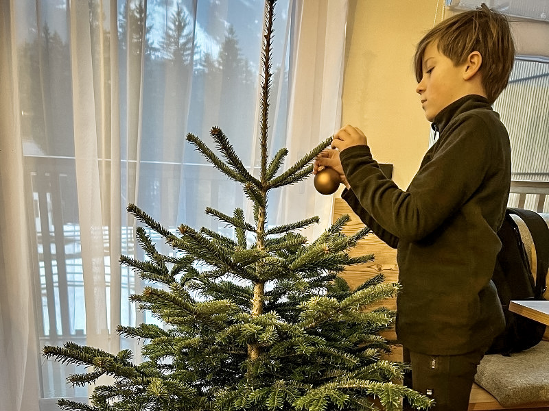 Duuk hangt de ballen in de kerstboom in het appartement