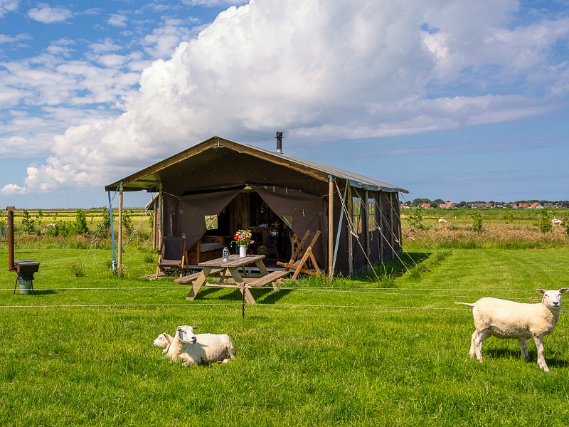 Mooie ingerichte tenten op de boerderij