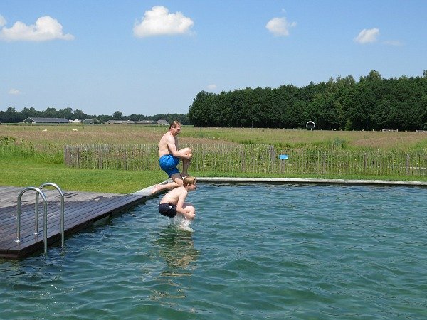 Orveltermarke bommetje natuurbad