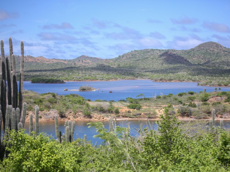 Het Gotomeer in het Noorden van Bonaire, Washington Slagbaai National Park