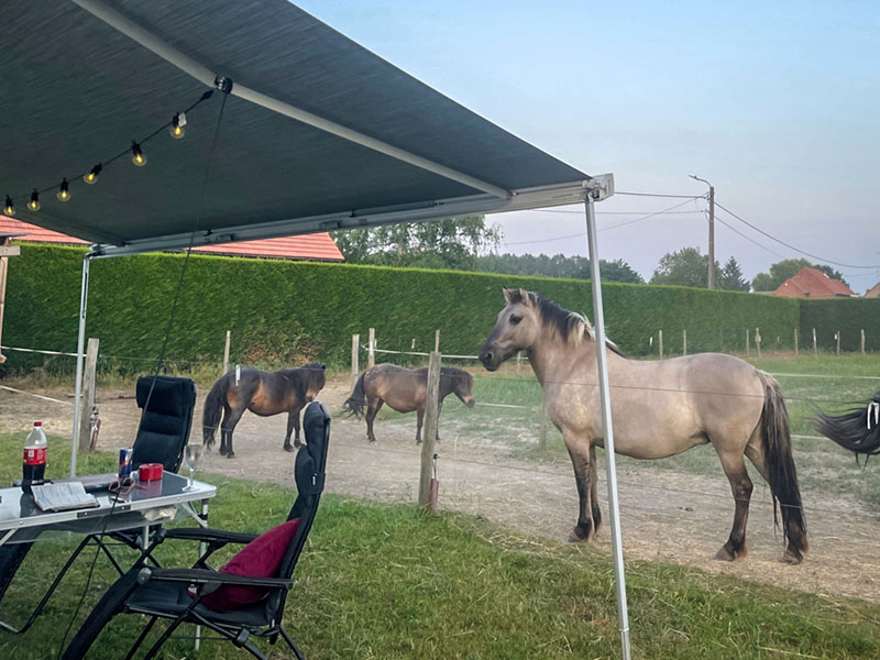 Campspace Op de wei Leuven