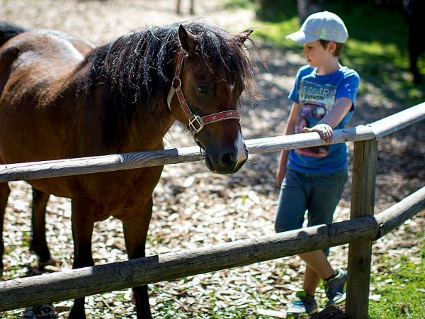 een kind staat bij de pony