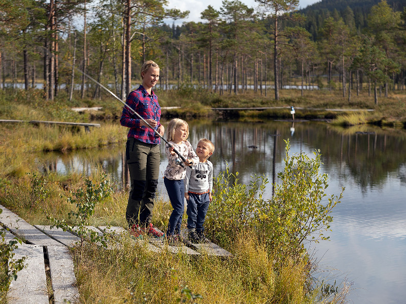 Zweden in een Notendop, fox familiereis