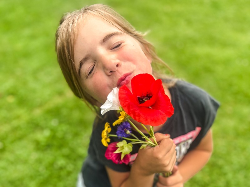 Zelf geplukt in de pluktuin van glamping de Bosweide