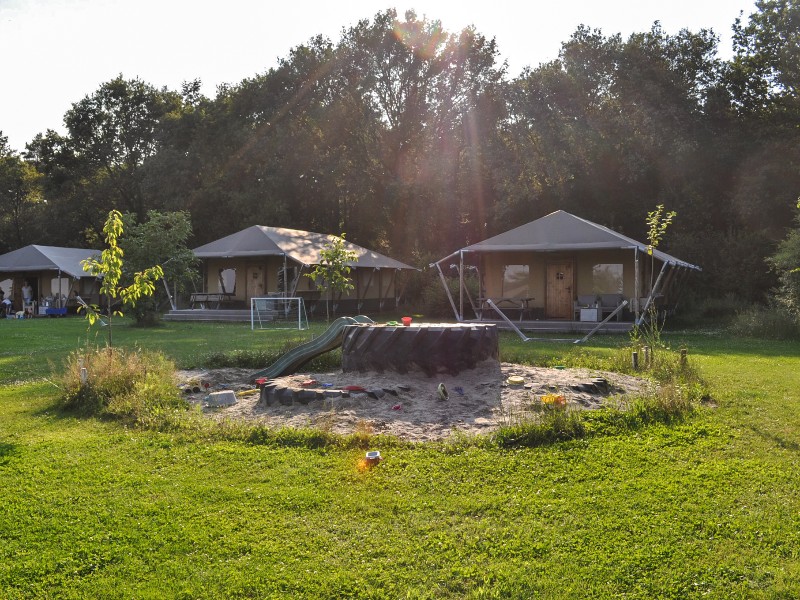 Luxe safaritenten op een zonnige zomeravond op Glamping de Bosweide.