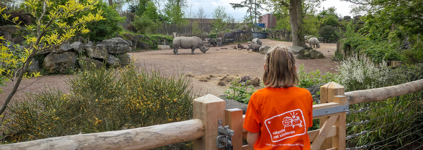 Paira Daiza kijken naar de neushoorns