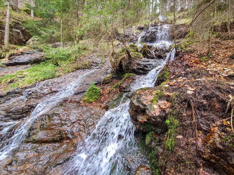 De Hochfall waterval in het Beierse Woud