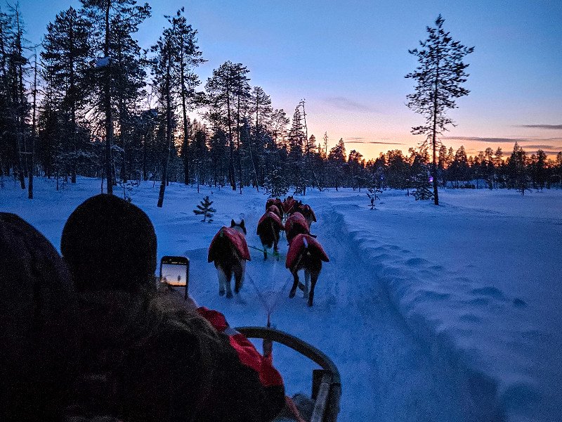 Huskytocht in Fins Lapland