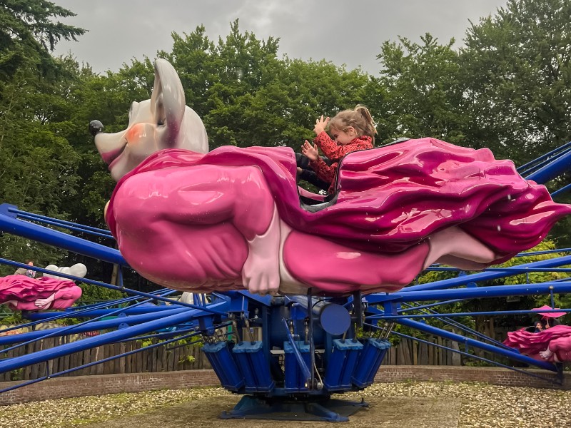 De jongste in een vliegende muis op Julianatoren