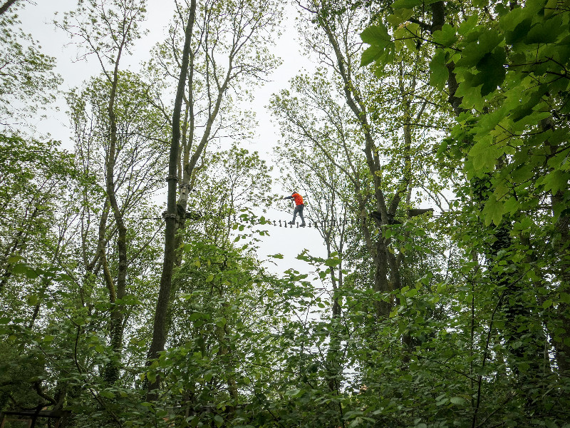 Bob hoog in de bomen in het klimpark 