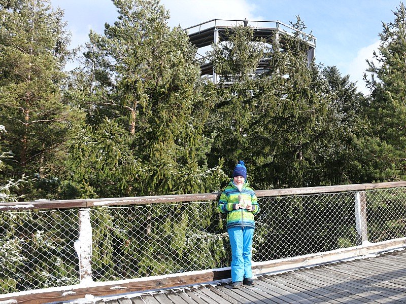 Het boomkroonpad wandelen naar de uitkijktoren