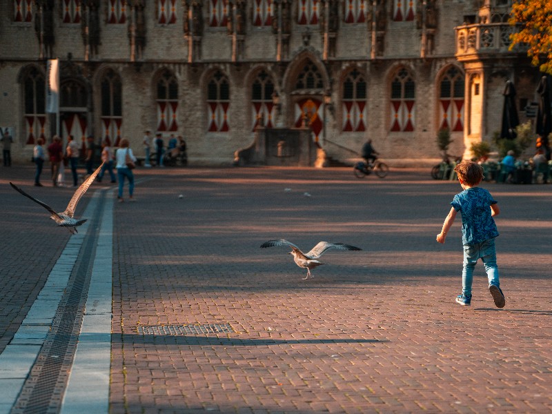 Meeuwen vliegen weg wanneer Otto over het inmiddels lege plein van de grote markt rent