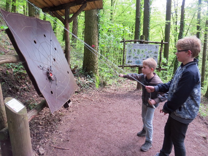 Veel leuke opdrachten bij het Natuurbelevenispad