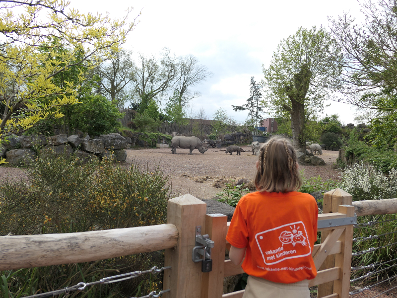 Een babyneushoorn in Pairi Daiza