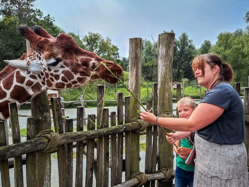 Het voeren van de giraffes was echt ontzettend leuk!