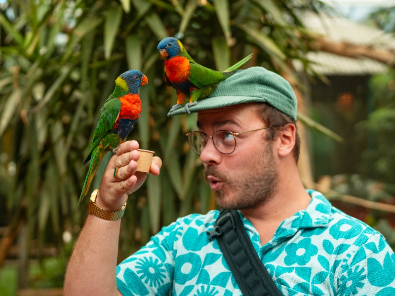 Twee Loris zijn bij Mathias op bezoek