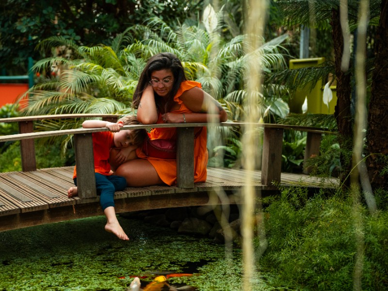 Een van de mooie bruggetjes en vijvers in Pantropica