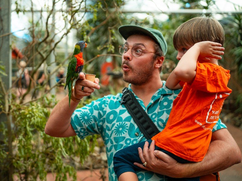 De felgekleurde Lori's komen graag wat nectar eten