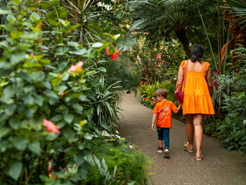 De tropische plantentuin van Pantropica