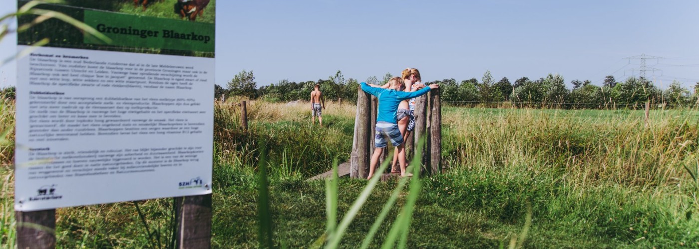 Kinderen lopen over een bloten voetenpad in Groningen. Foto door Stella Dekker, Marketing Groningen