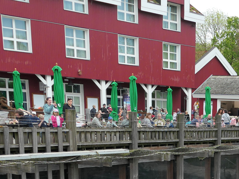 Terras bij de zeehonden in Pairi Daiza