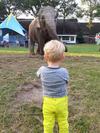 Olifant en Thijmen