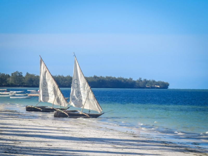 Traditionele boten op de stranden van Zanzibar