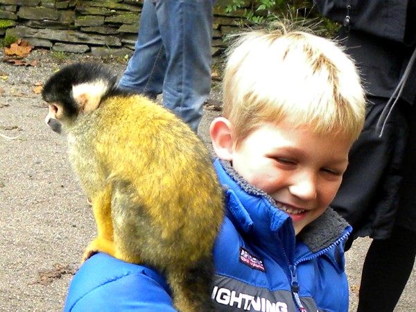 Onze Tycho met een aapje in Apenheul