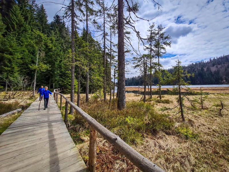 Wandelen langs de Grosser Arbersee in het Beierse Woud