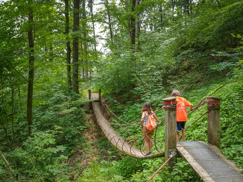 Wandelen op de wandelroute Weg der Sinne in het Vitalwelt