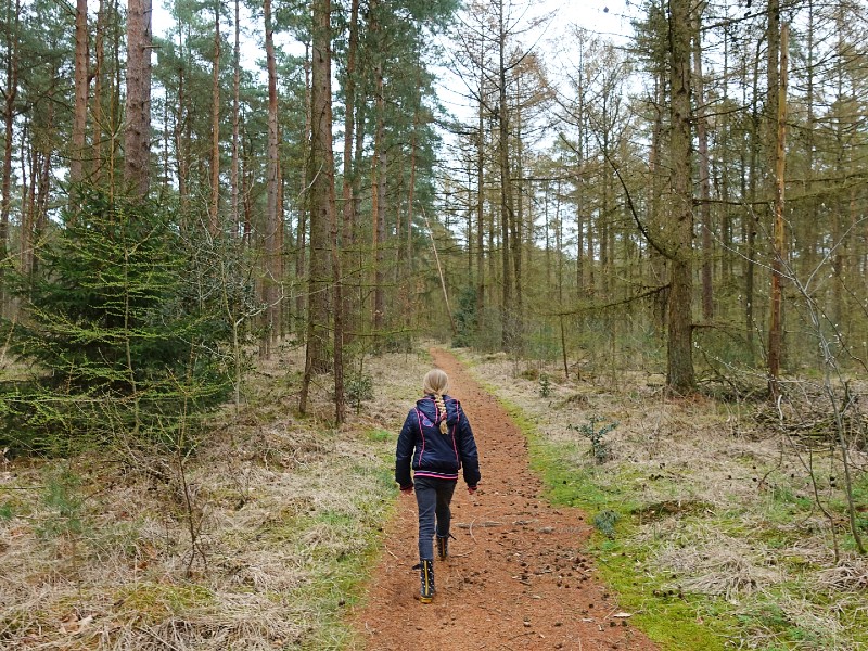 Lara aan de wandel in het bos